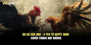Đá Gà Cựa Dao - 4 Yếu Tố Quyết Định Chiến Thắng Hay Không